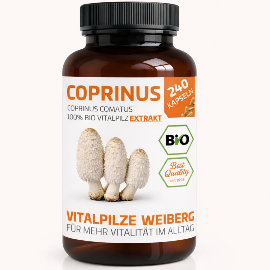 Coprinus Extrakt, 240 Kapseln